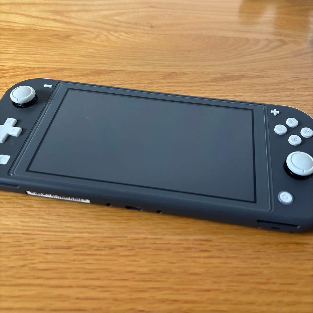 ジャンク品　Switch Lite