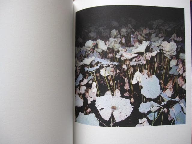 Black Drop 　Viktor Johansson　直筆サイン