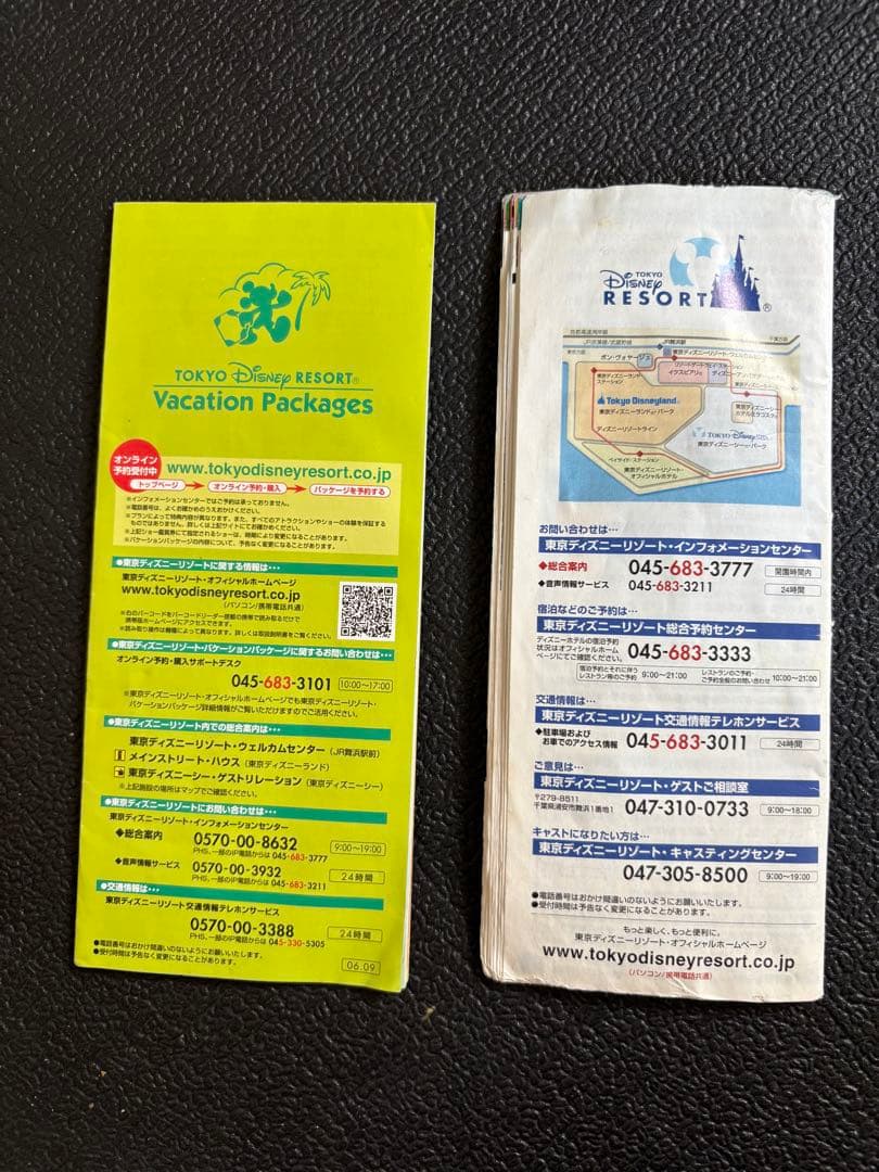 東京ディズニーリゾート ガイドセット