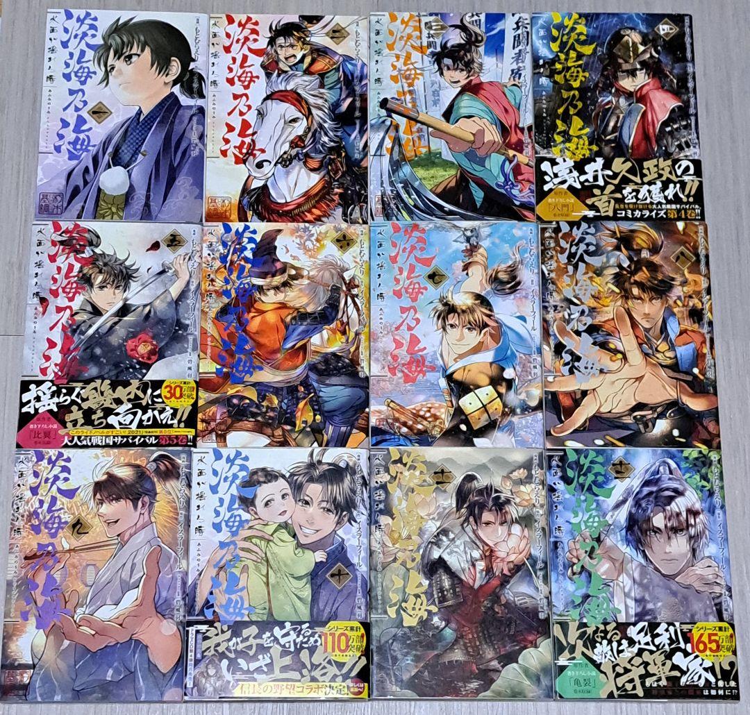 淡海乃海 1~12巻＋異伝 羽林、乱世を翔る 1~4巻 計16冊セット コミック