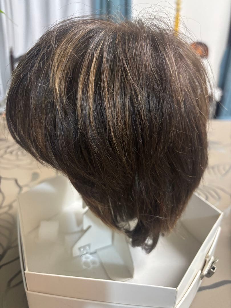 フォンテーヌ　フルウィッグ（説明書付き）