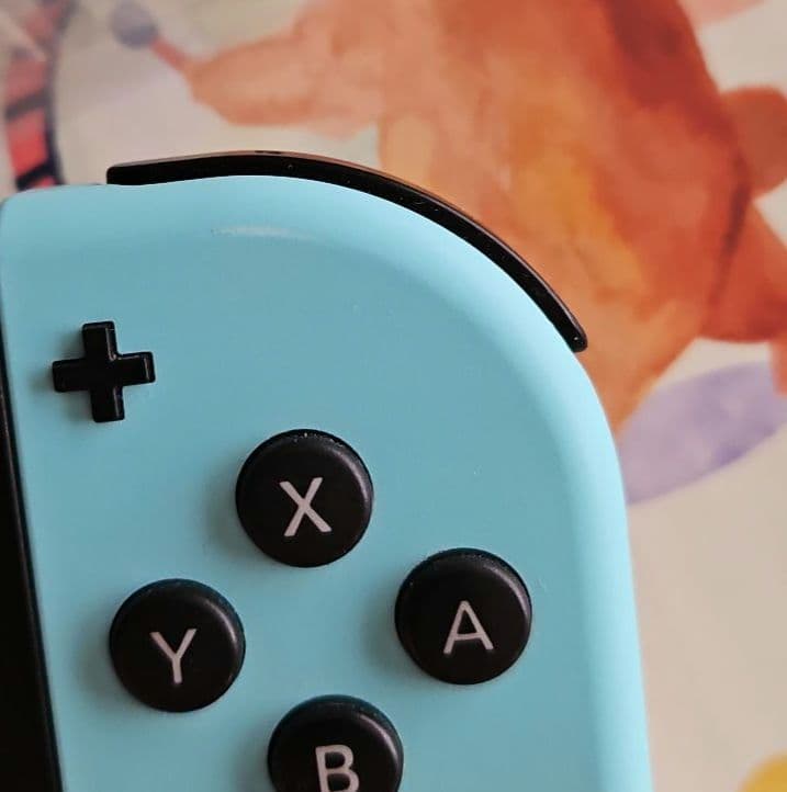 【3/19迄限定1000円引】Nintendo Switch どうぶつの森セット