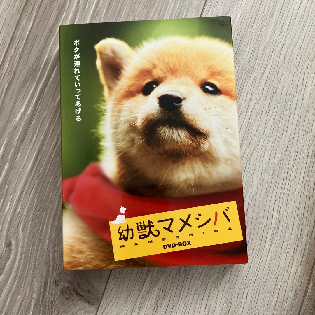 マメシバ一郎・幼獣マメシバ・マメシバ一郎フーテンの芝二郎DVD-BOX 3セット