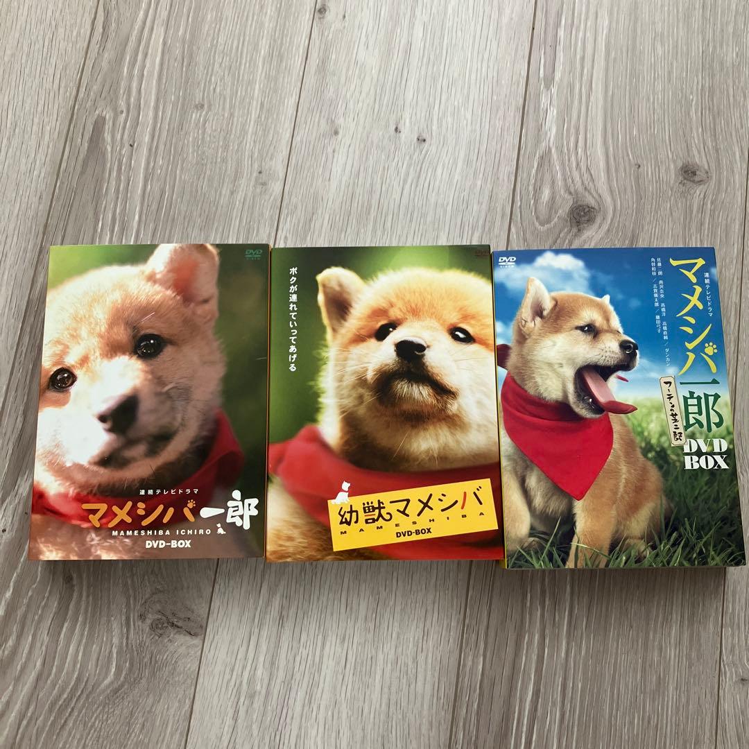 マメシバ一郎・幼獣マメシバ・マメシバ一郎フーテンの芝二郎DVD-BOX 3セット