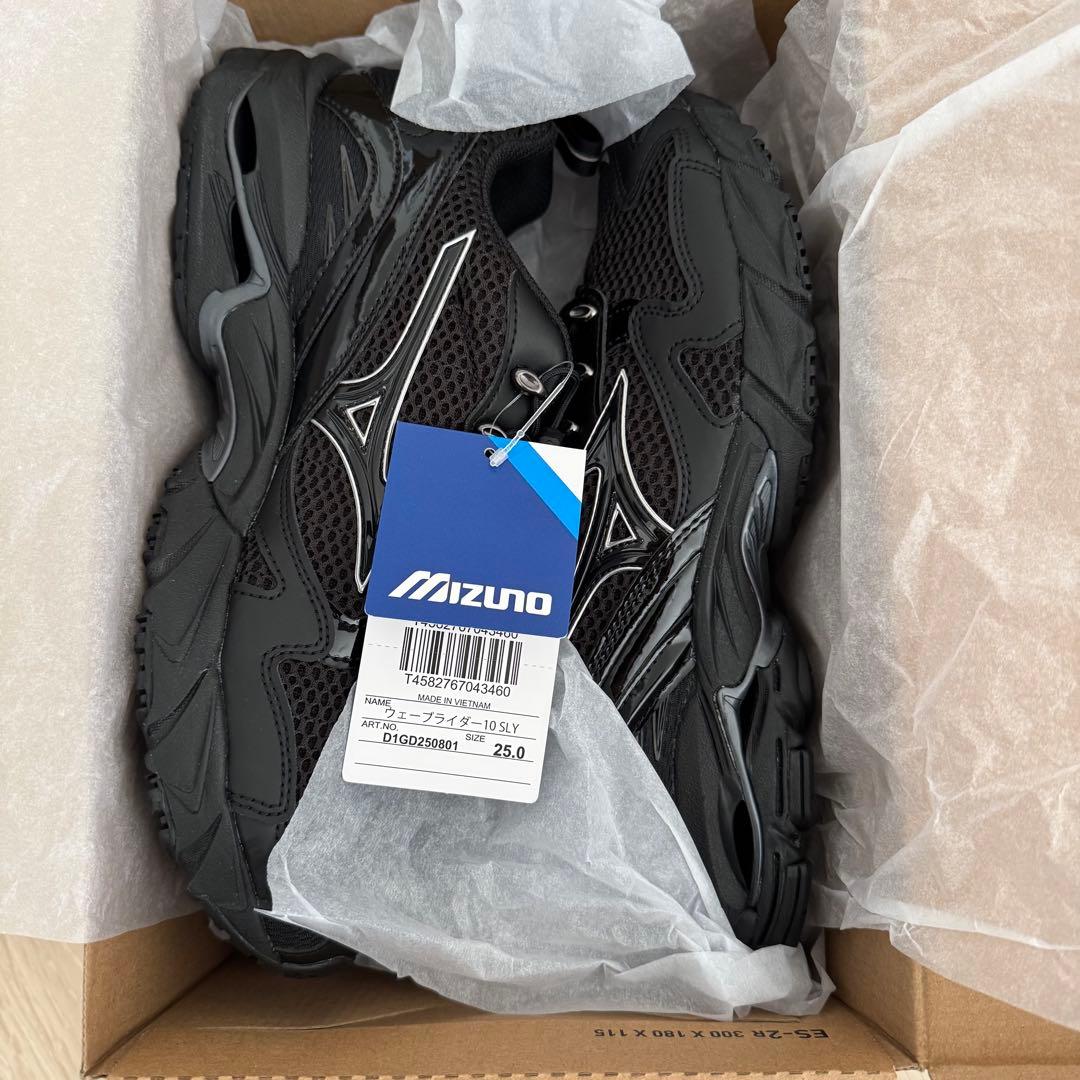 靴 WAVE RIDER 10 SLY 25cm