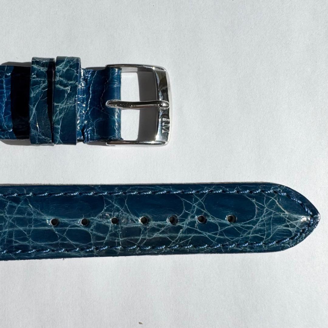 時計 18mm MORELLATO Crocodile Watch Straps-1.