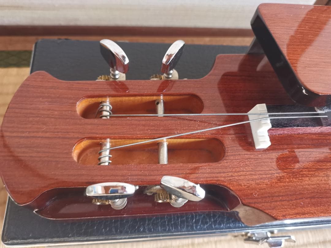 大正琴 琴伝流 テナー かえで ハードケース＋手作りケースカバー＋テナー楽譜付