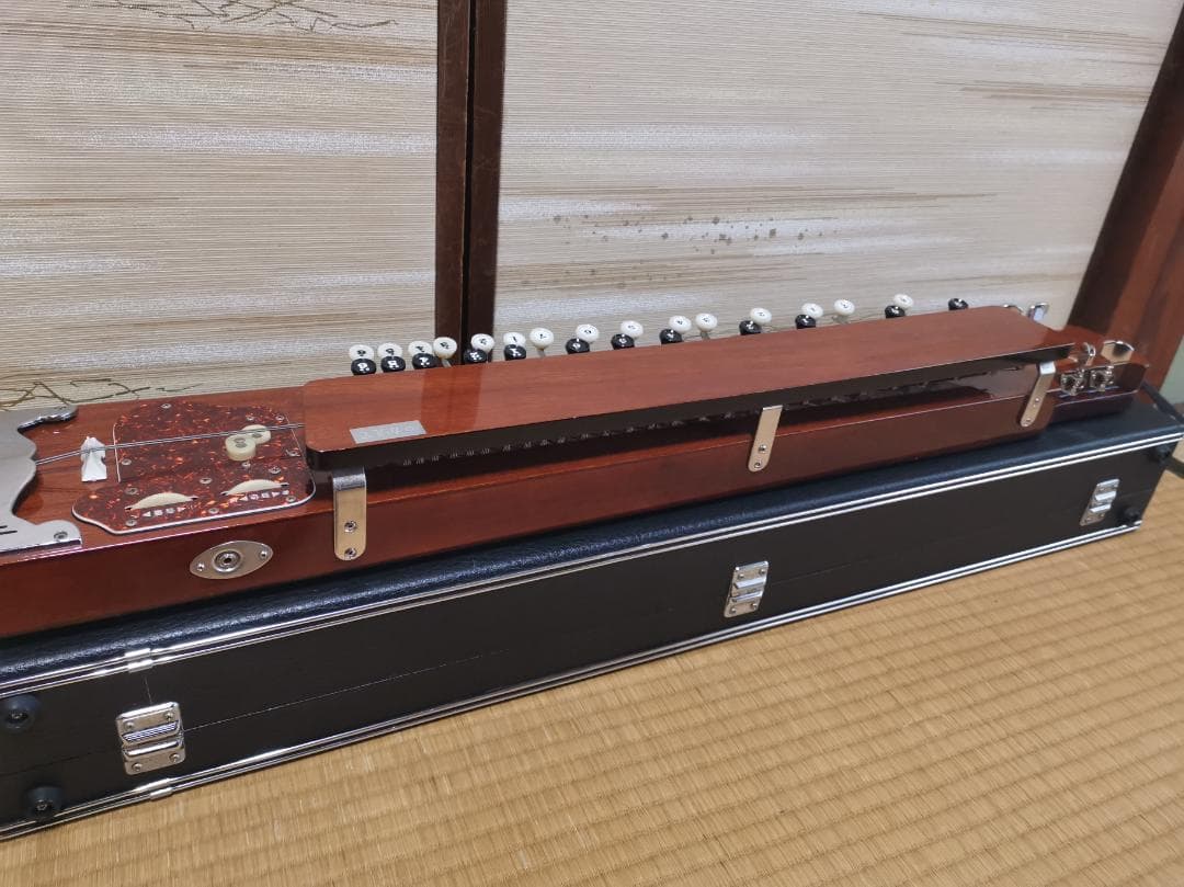 大正琴 琴伝流 テナー かえで ハードケース＋手作りケースカバー＋テナー楽譜付