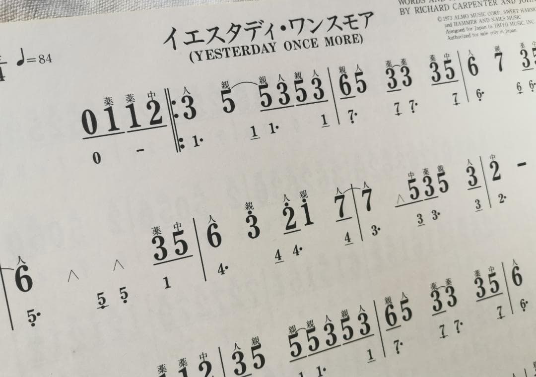 大正琴 琴伝流 テナー かえで ハードケース＋手作りケースカバー＋テナー楽譜付