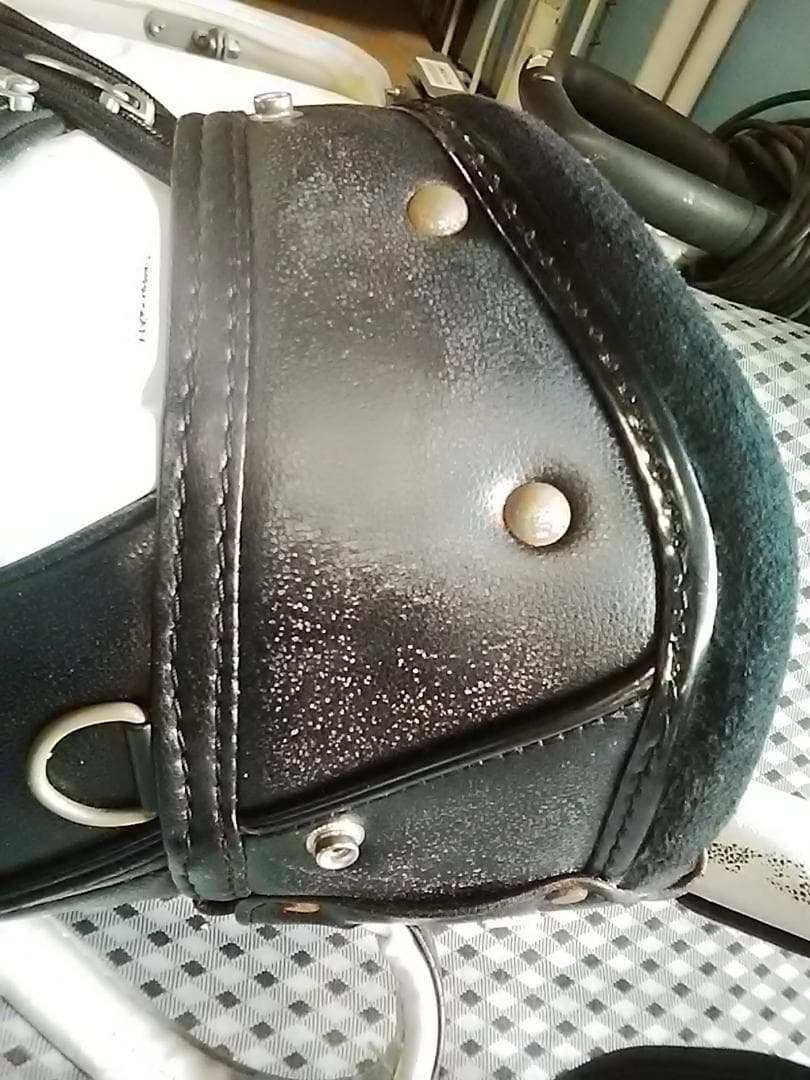 WINWINSTYLE　ウィンウィンスタイル　ゴルフ　キャディバッグ　トランプ