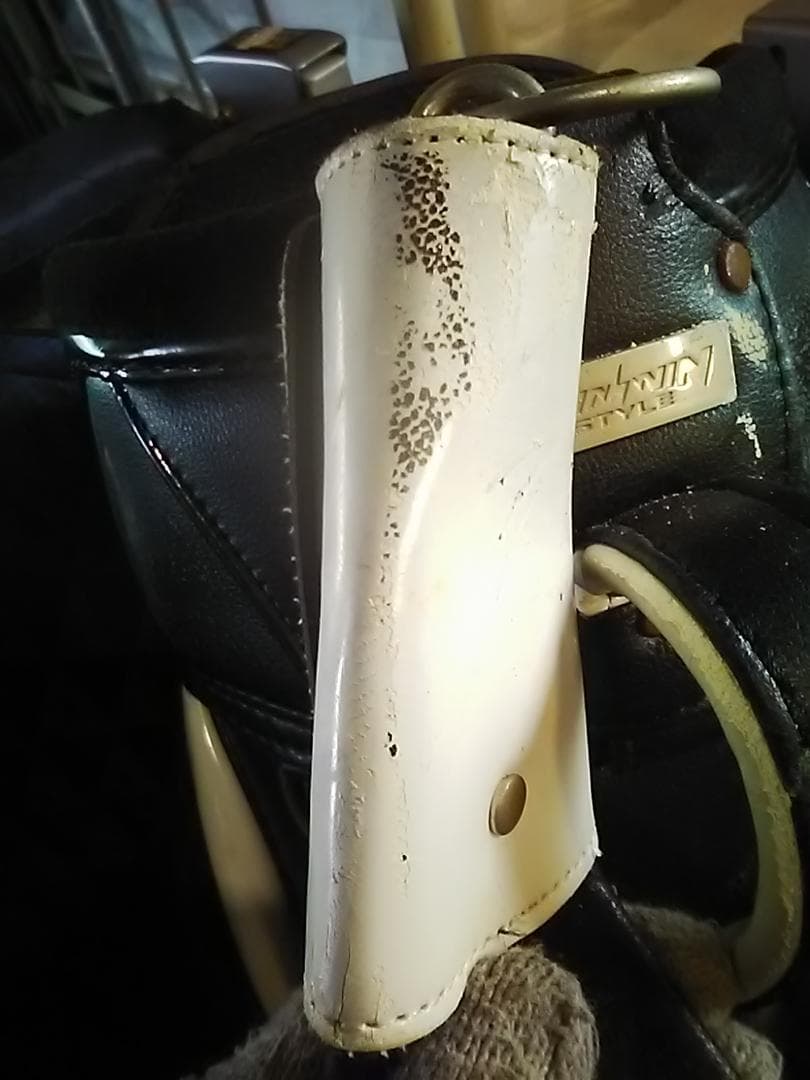 WINWINSTYLE　ウィンウィンスタイル　ゴルフ　キャディバッグ　トランプ