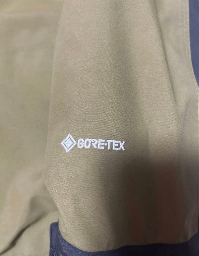 THE NORTH FACE フード付きジャケット