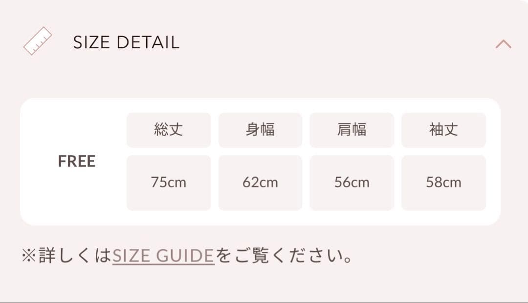 DDロゴビジュージップパーカー ホワイト Darich ダーリッチ