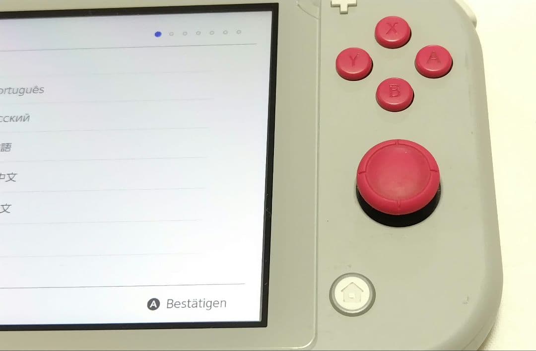 Nintendo Switch Lite グレー　ポケモン