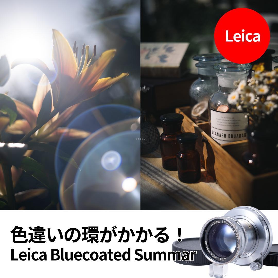 bbsaurus様色違いの環がかかる！Leica coated Summar