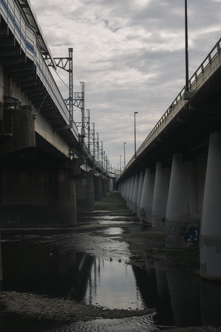 bbsaurus様色違いの環がかかる！Leica coated Summar