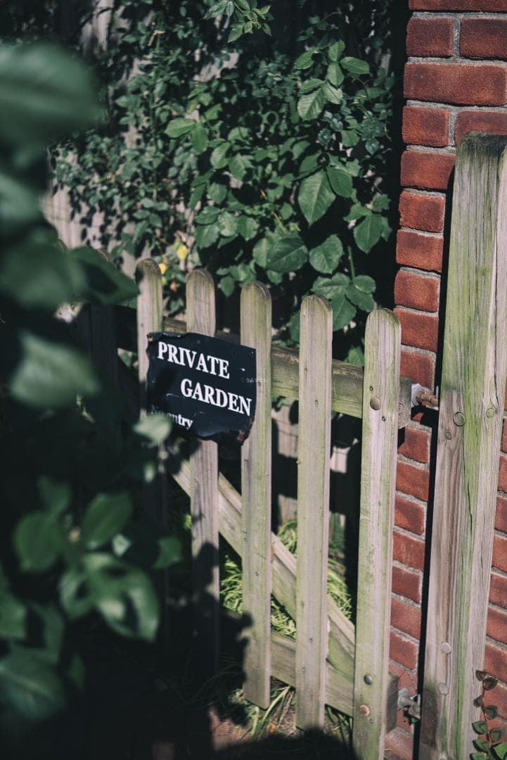 bbsaurus様色違いの環がかかる！Leica coated Summar