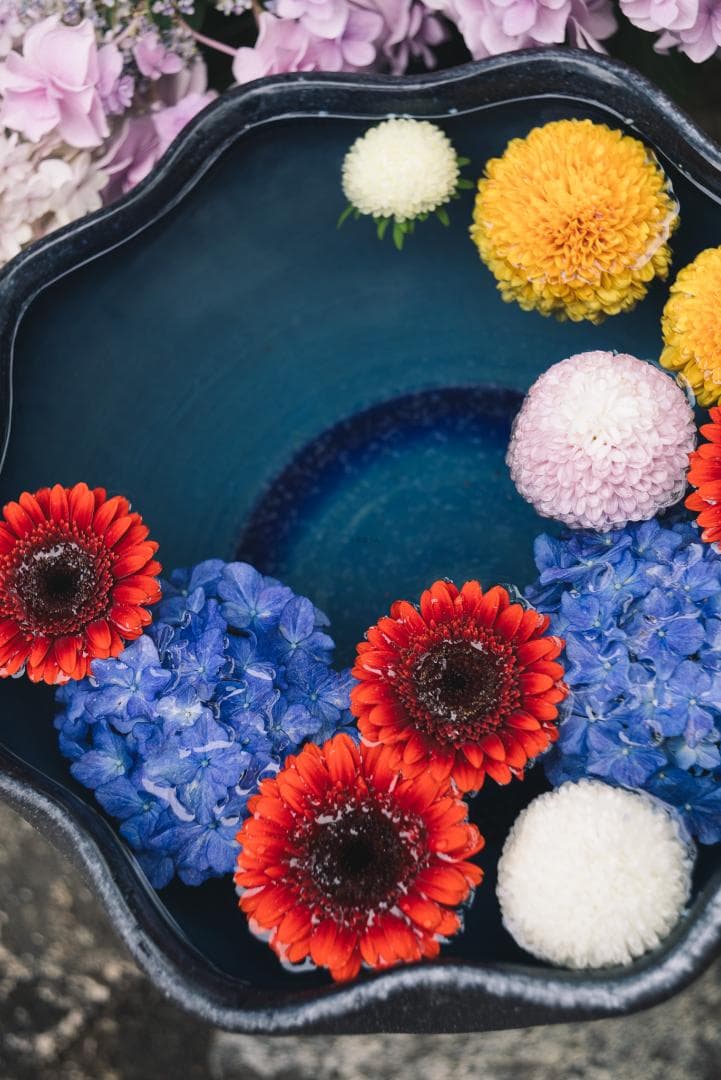 bbsaurus様色違いの環がかかる！Leica coated Summar