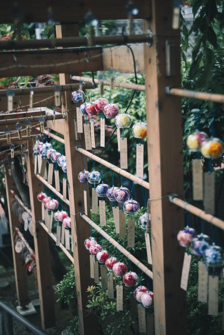 bbsaurus様色違いの環がかかる！Leica coated Summar