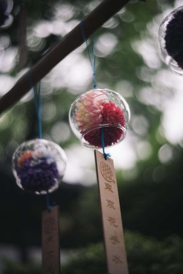 bbsaurus様色違いの環がかかる！Leica coated Summar