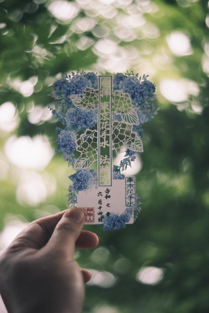 bbsaurus様色違いの環がかかる！Leica coated Summar