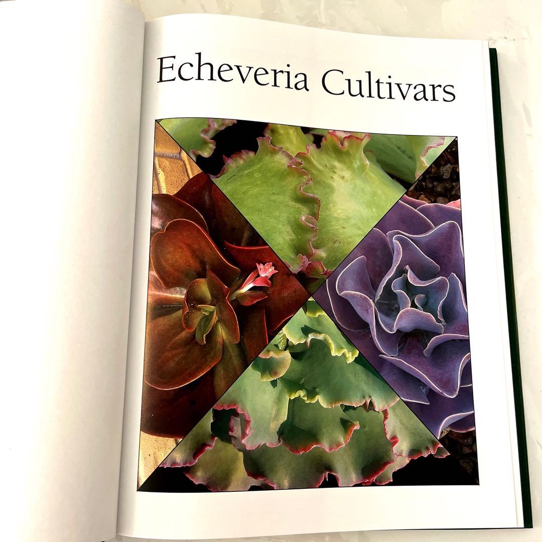 洋書 ECHEVERIA CULTIVARS 図鑑