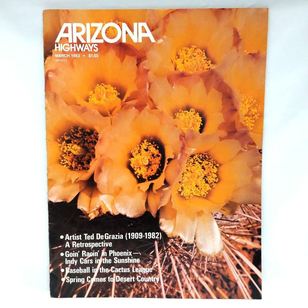 ARIZONA HIGHWAYS 1983年 11冊 アリゾナ 雑誌 アメリカ