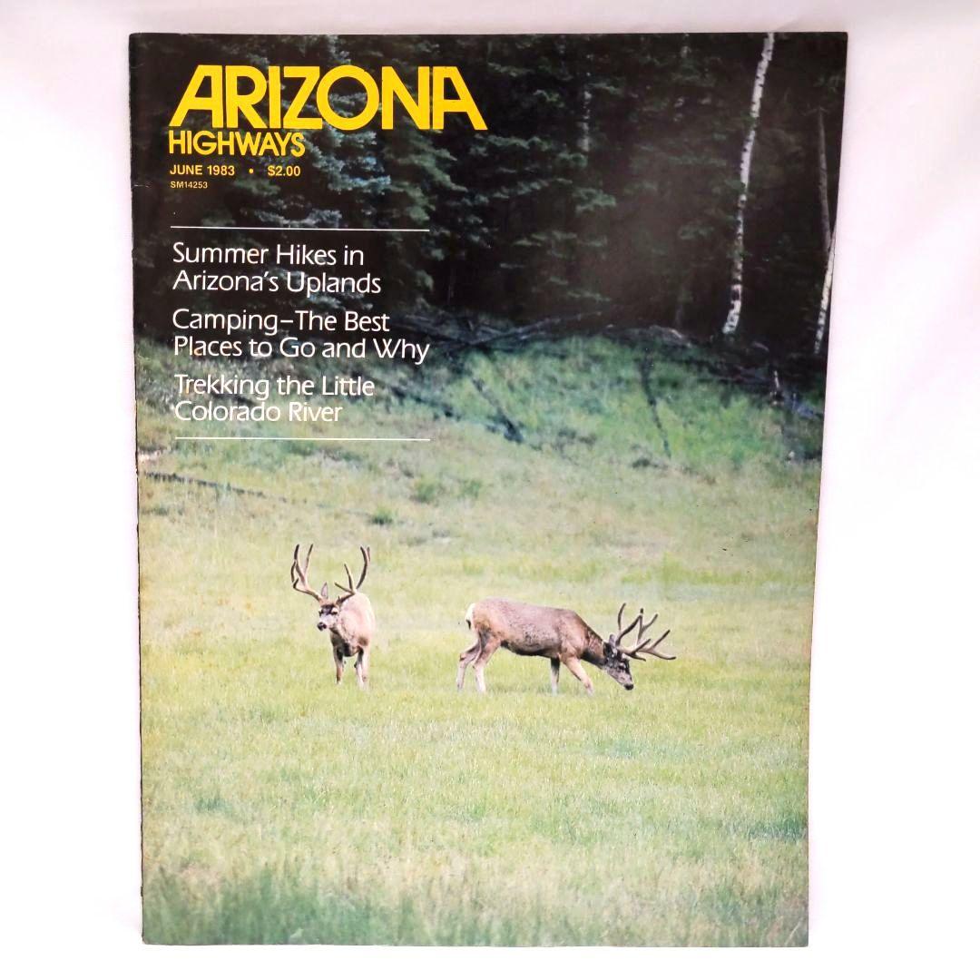 ARIZONA HIGHWAYS 1983年 11冊 アリゾナ 雑誌 アメリカ