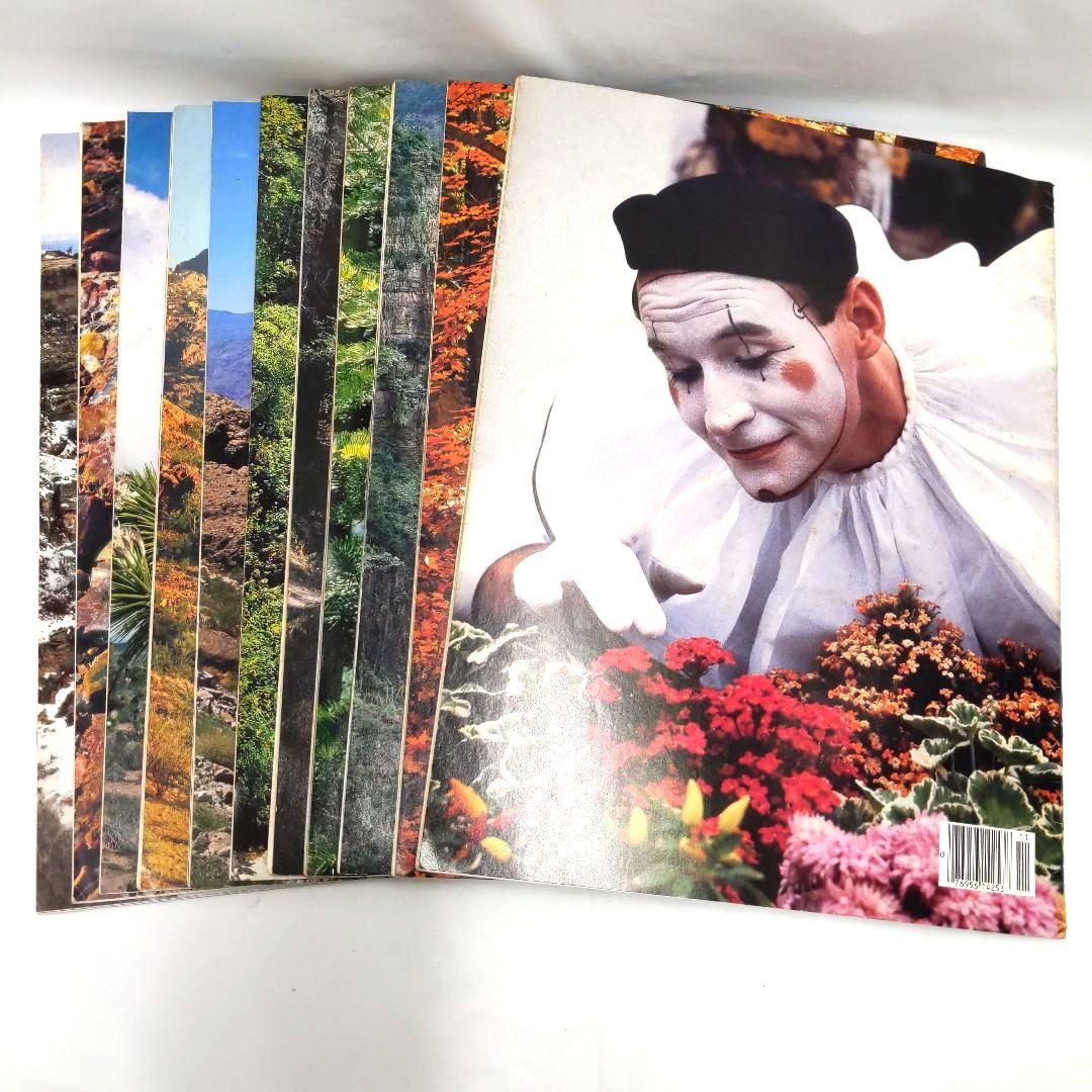 ARIZONA HIGHWAYS 1983年 11冊 アリゾナ 雑誌 アメリカ