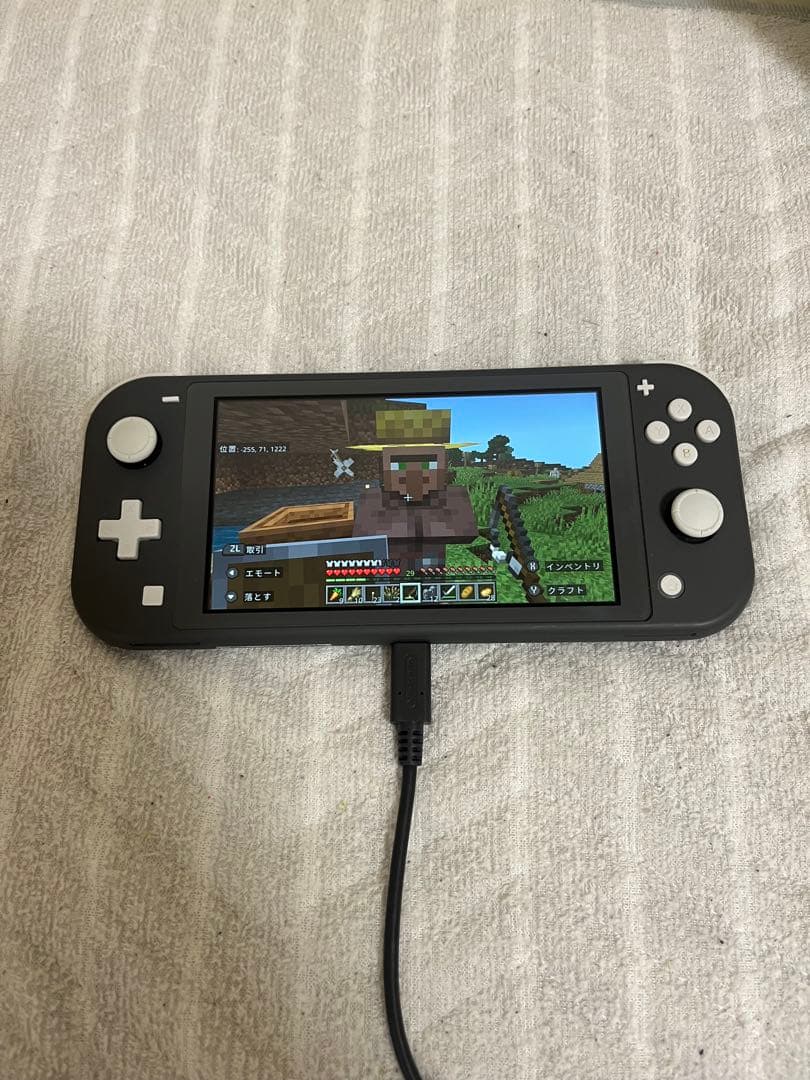 Nintendo Switch Lite グレー 本体 + Minecraft