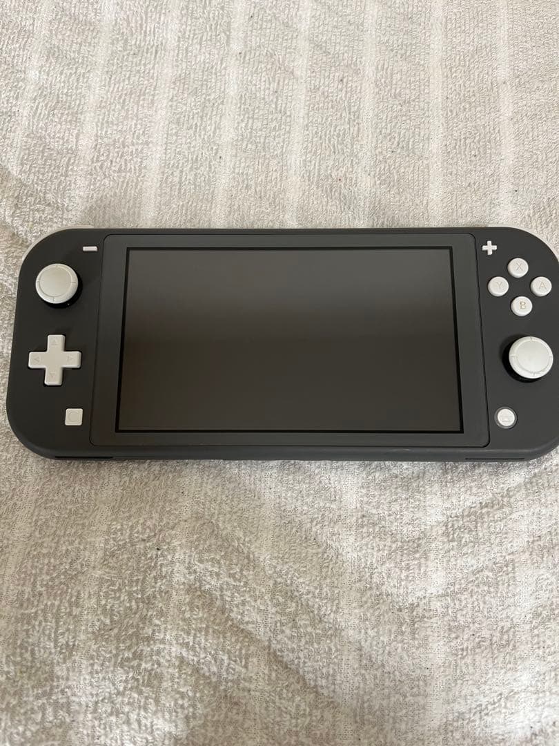 Nintendo Switch Lite グレー 本体 + Minecraft