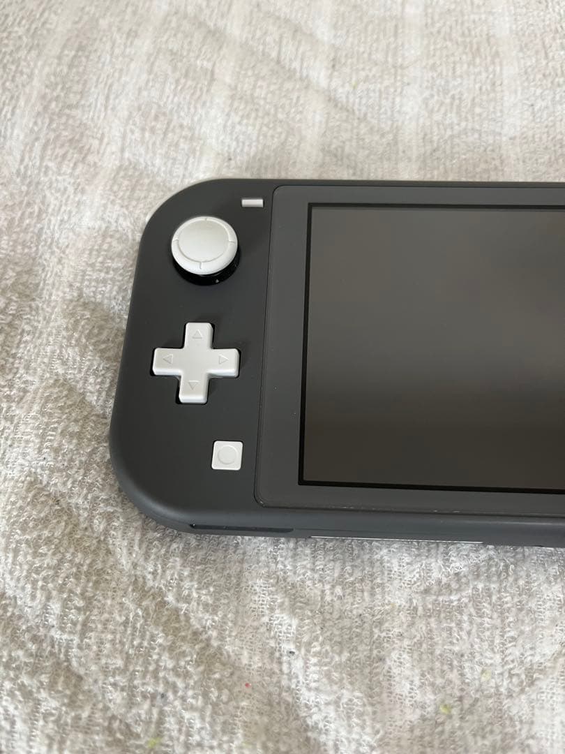 Nintendo Switch Lite グレー 本体 + Minecraft