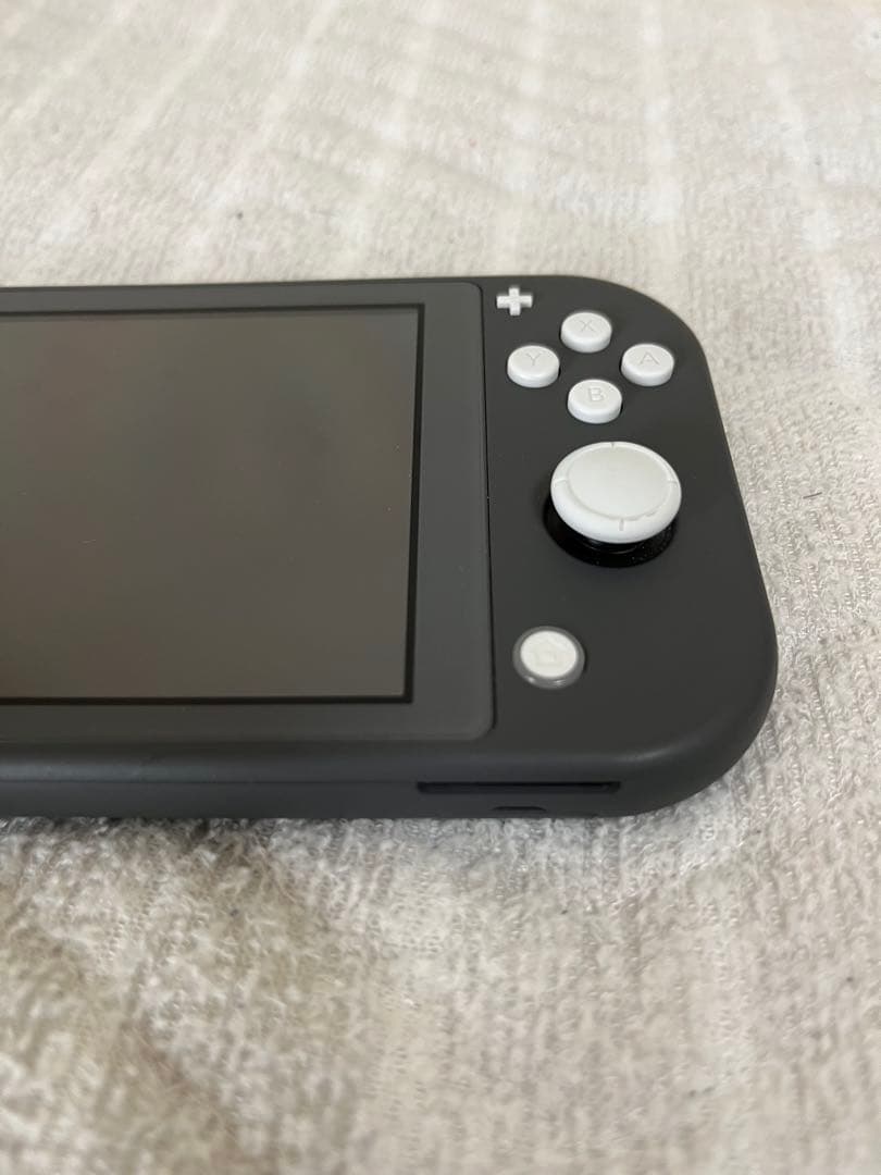Nintendo Switch Lite グレー 本体 + Minecraft