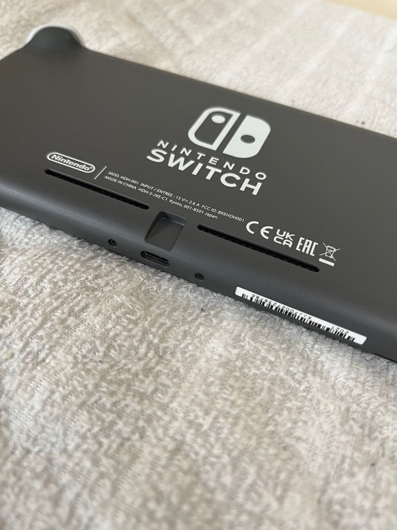 Nintendo Switch Lite グレー 本体 + Minecraft