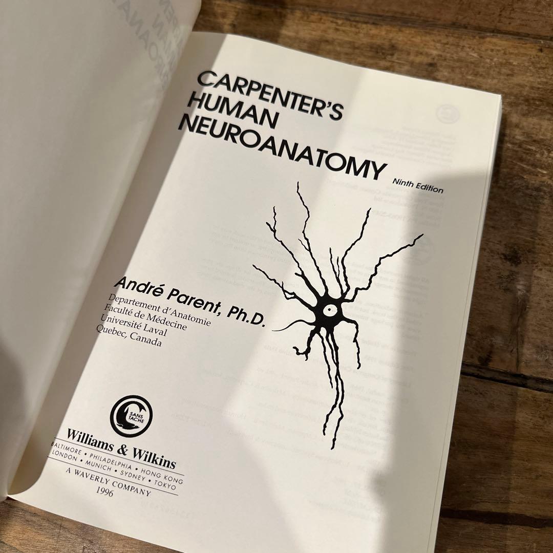 健康・医学 The Anatomy of the Nervous System
