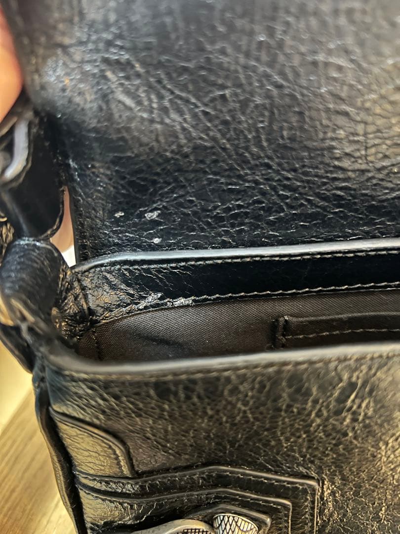 ワンワンぽよぽよ　BALENCIAGA ルカゴール　スリングバック