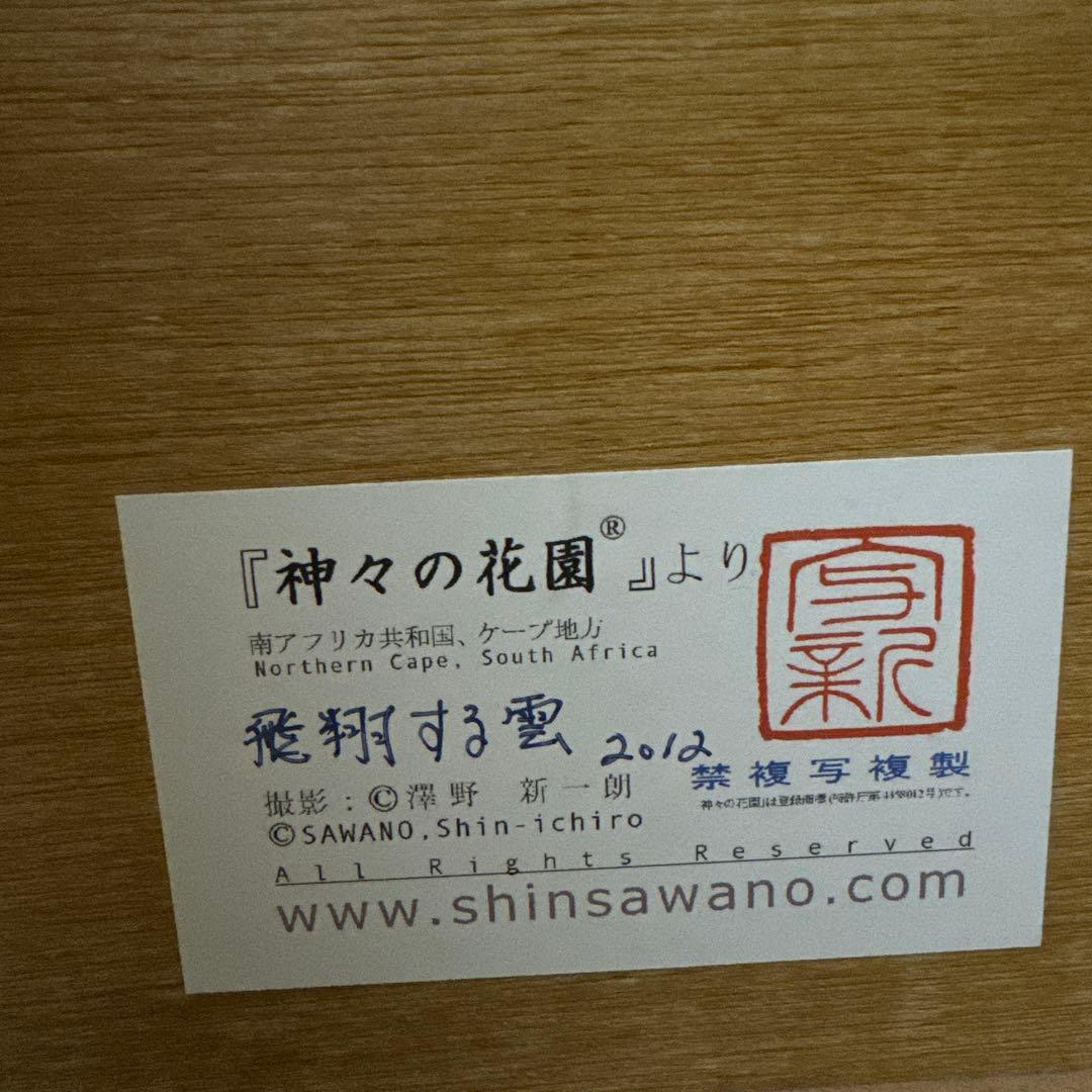 HABU(羽部恒雄) 飛翔する雲 61.5×74cm