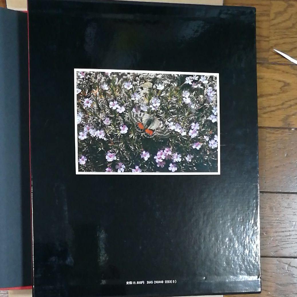 アフガニスタン蝶類図鑑