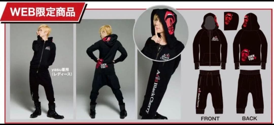 Acid Black Cherry サルエルパンツ、パーカー