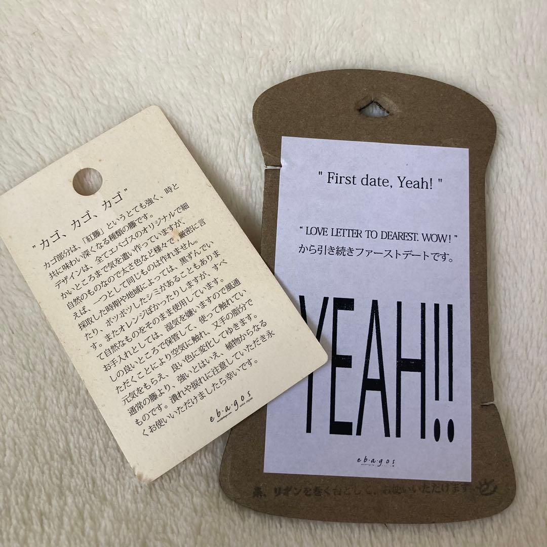 ebagos エバゴス かごバッグ ブラウン レザー 紅藤 ワンハンドル