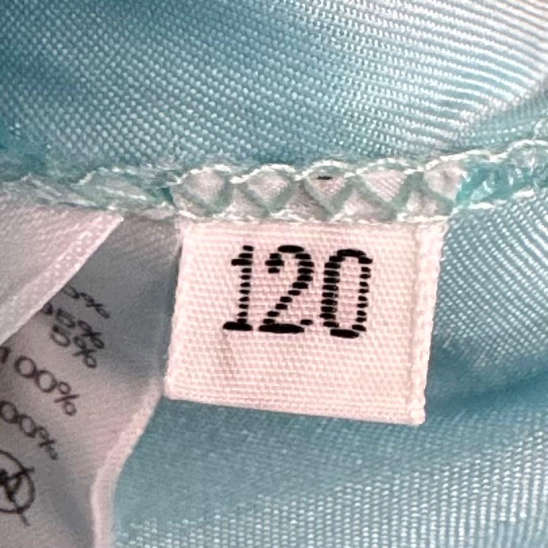 Disney RESORT タグ アナ雪 エルサ ドレス 120cm 刺繍レース