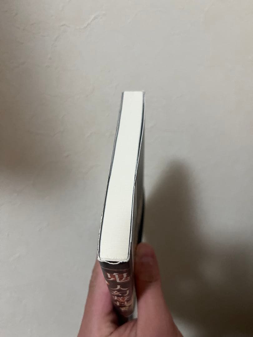 鬼人幻燈抄 1～14巻+番外編 全巻セット 中西モトオ