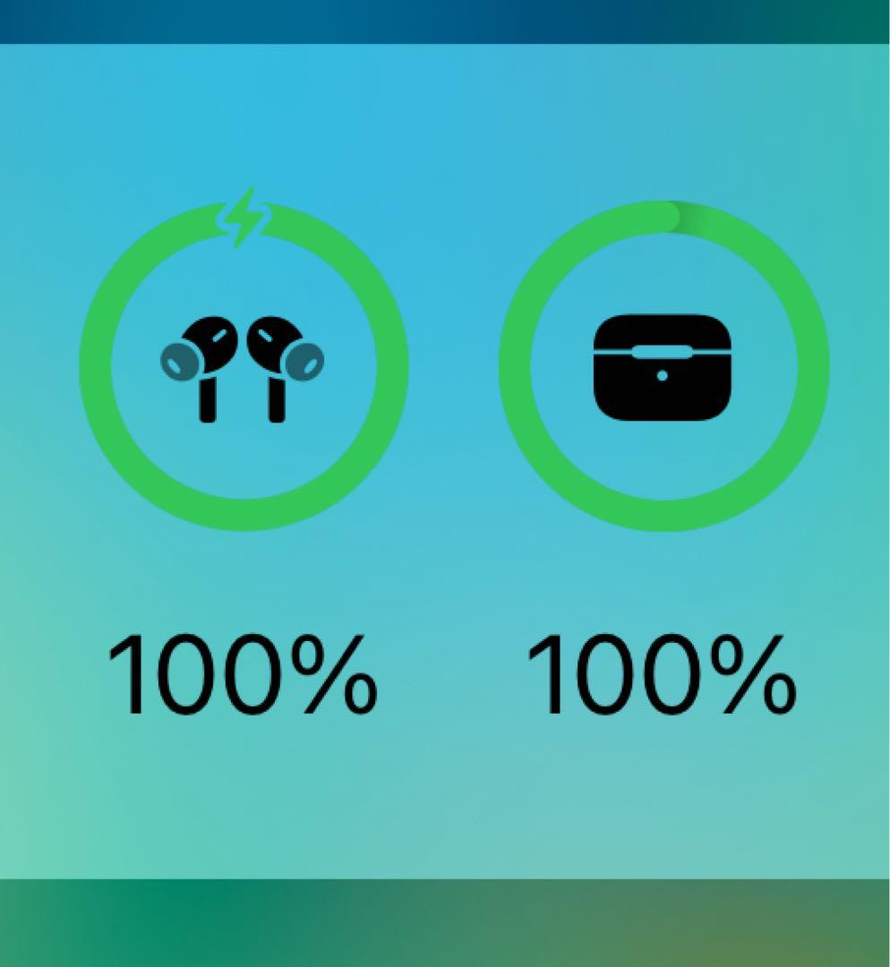 【スガさん専用】AirPods Pro 第2世代 Lightning端子