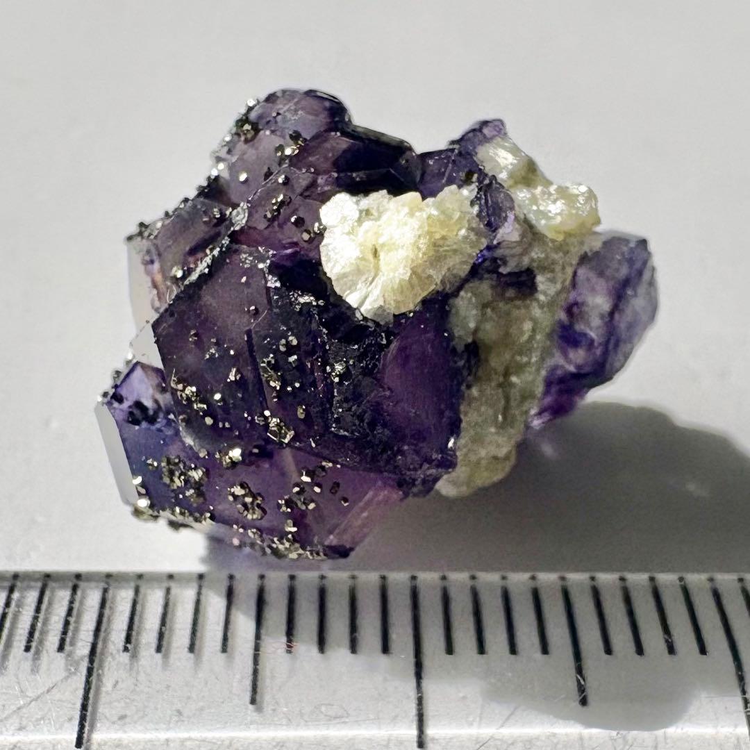 561 中国 内モンゴル産 フローライト&パイライト