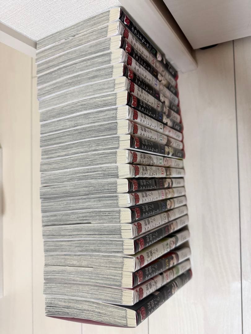 絢爛たるグランドセーヌ（1~21巻）