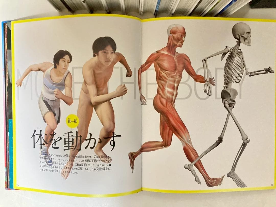 講談社の動く図鑑MOVE シリーズ　14冊セット