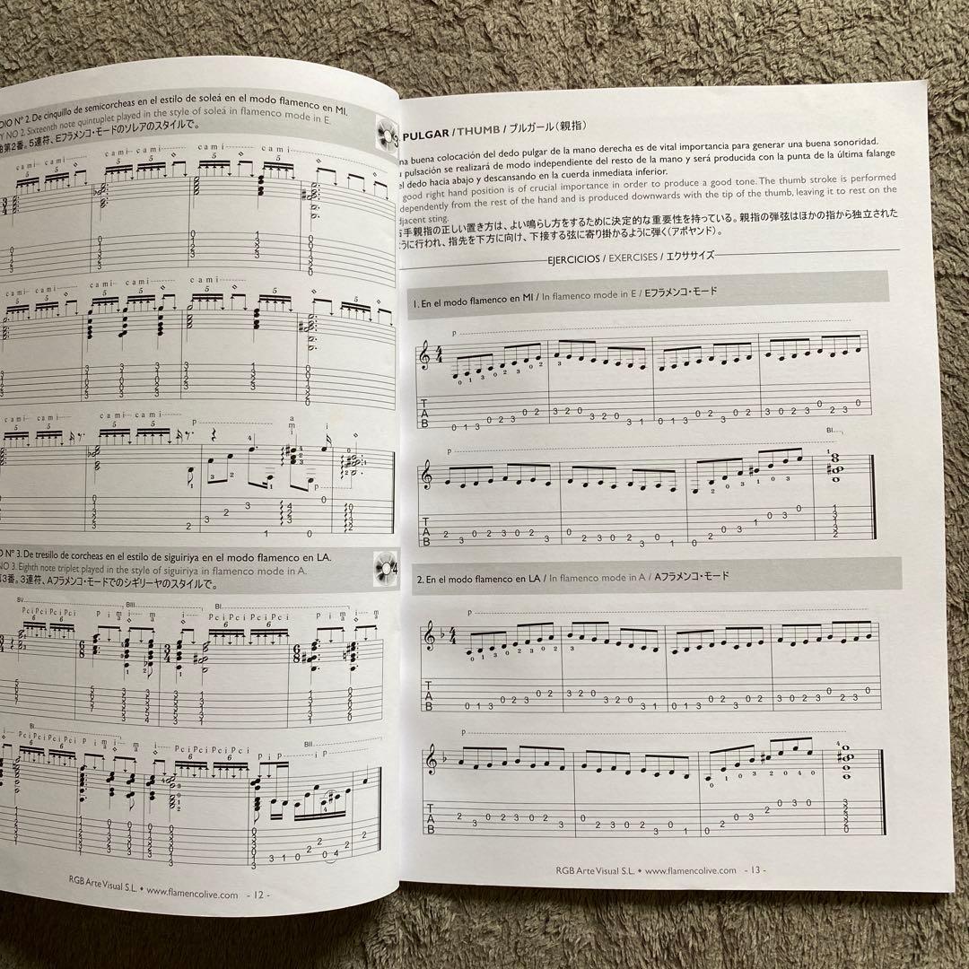 フラメンコギタースペインギタースクールフラメンコ教科書5巻セット　美品