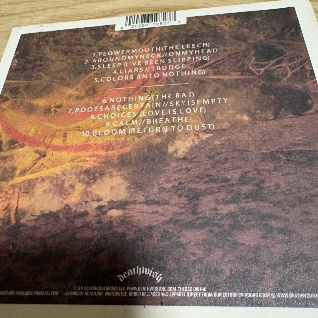 洋楽 Code Orange Kids Love Is Love / Return