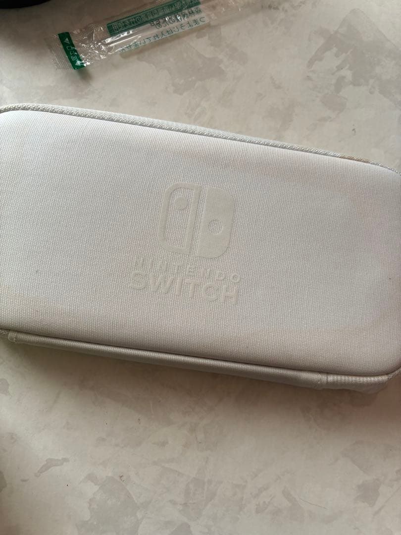 Nintendo Switch Lite ブルー 専用ケース付き