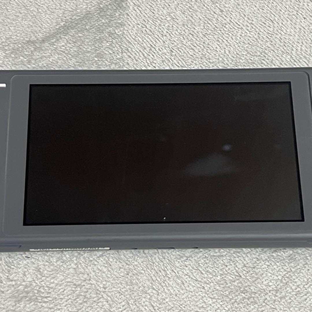 d*3様 【ジャンク】Nintendo Switch Lite グレー 本体のみ